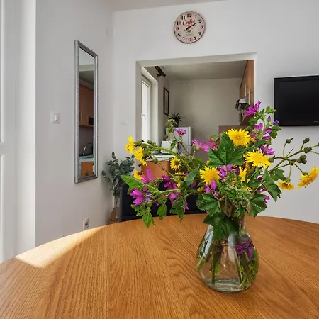 La Le With Big Terrace *