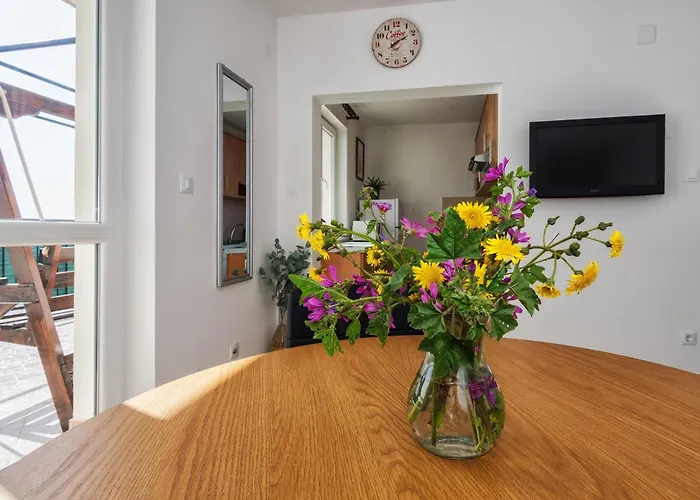 La Le With Big Terrace *